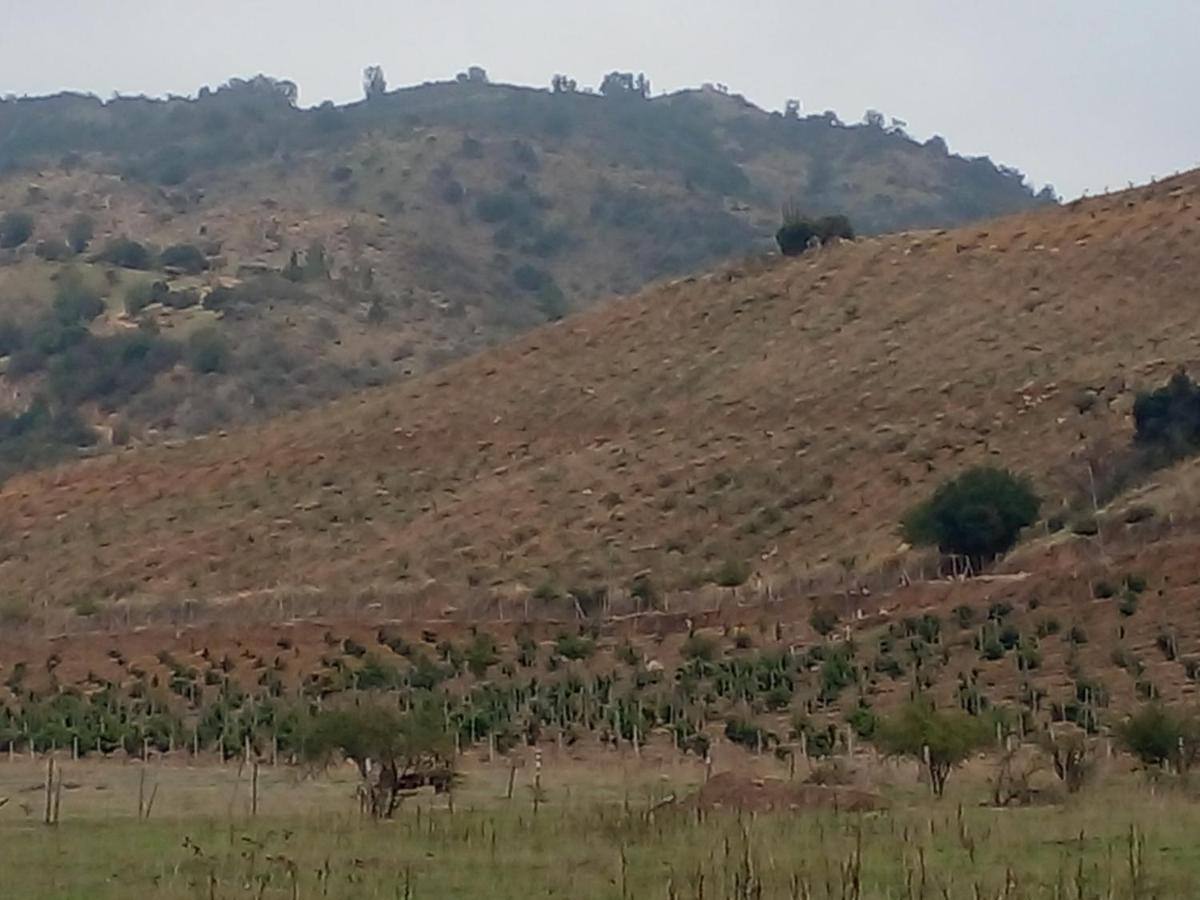 El Refugio De Santa Cruz Βίλα Εξωτερικό φωτογραφία